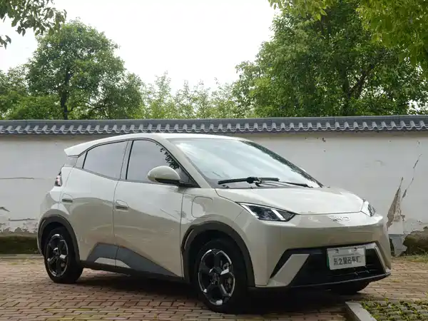 BYD Seagull 2024