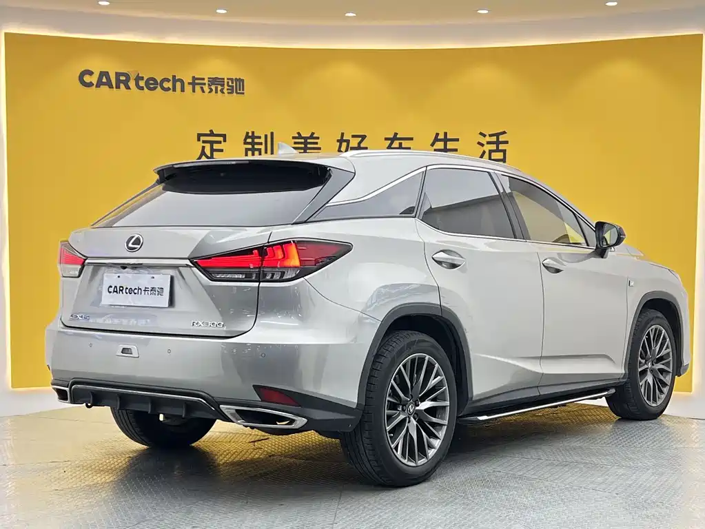 Lexus RX 2020 — фото 28