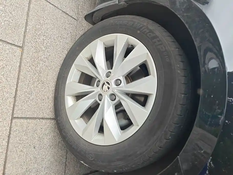Skoda Speedy 2018