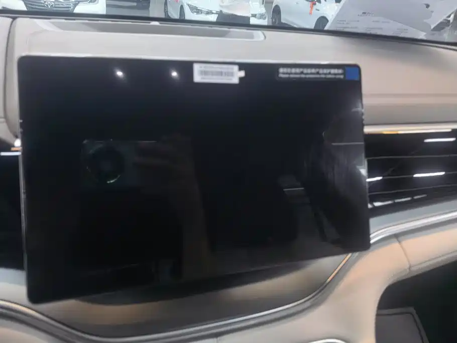 BYD Song PLUS New Energy 2025 — фото 13