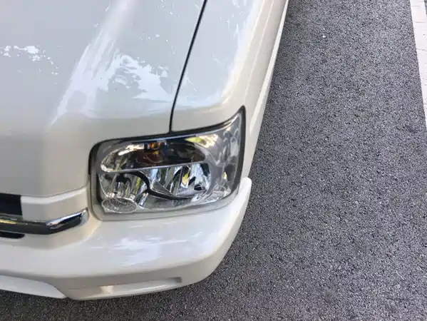 Suzuki Big Dipper 2018