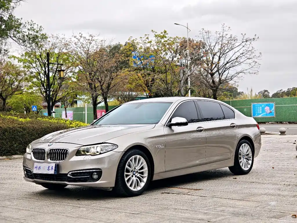 BMW 5 Series 2017 — фото 1