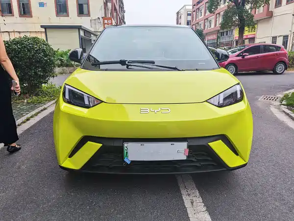 BYD Seagull 2024