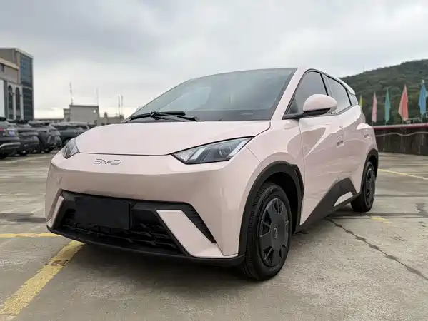 BYD Seagull 2024