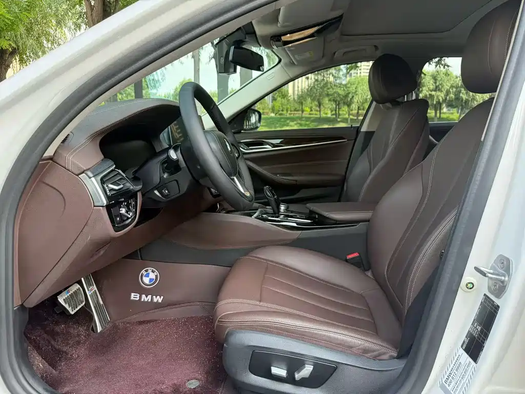 BMW 5 Series 2019