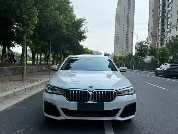 BMW 5 Series 2019