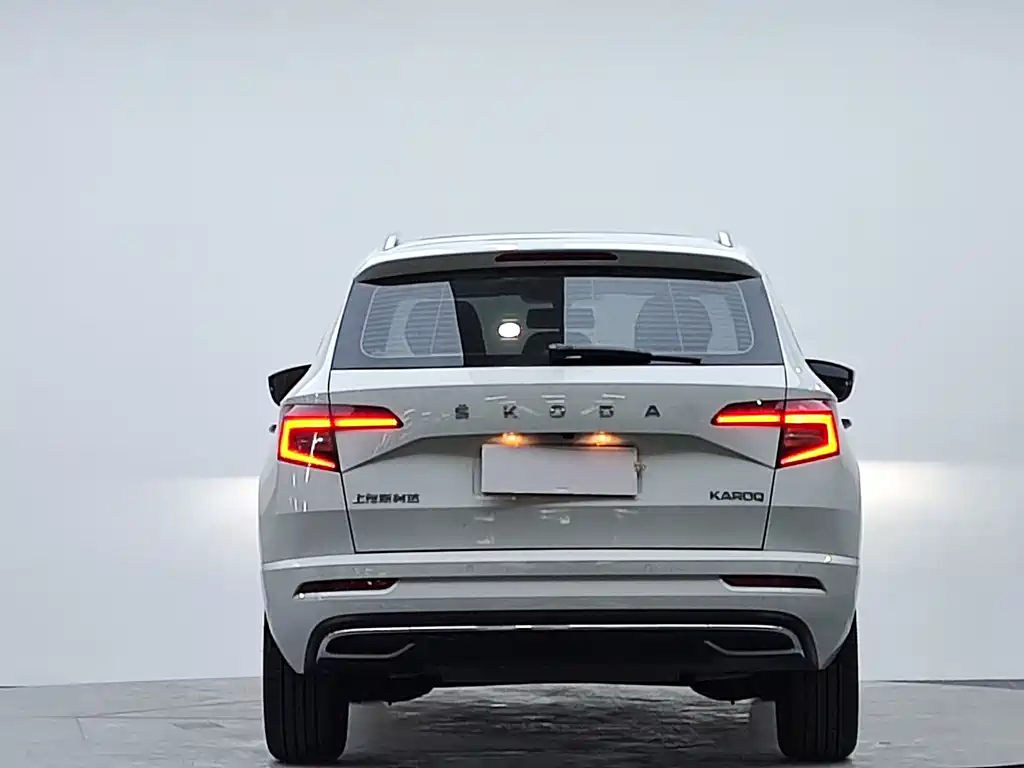 Skoda Karoq 2024 — фото 3