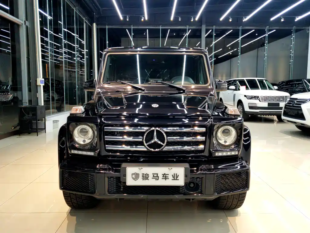 Mercedes-Benz G-Class 2018 — фото 2