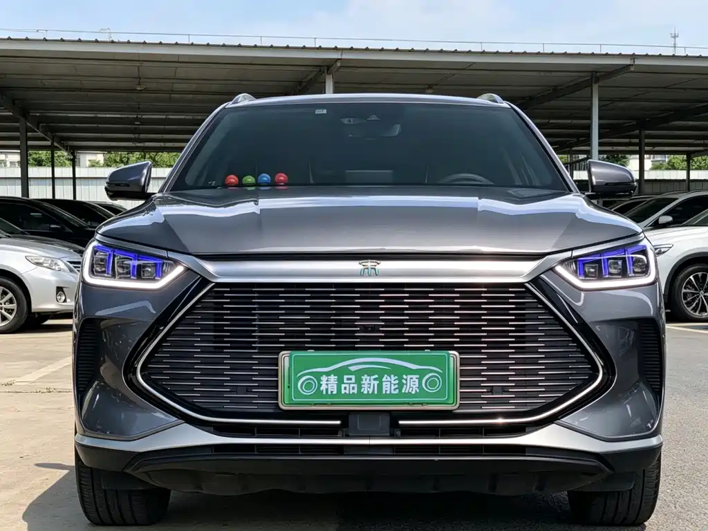 BYD PLUS New Energy 2022 — фото 2