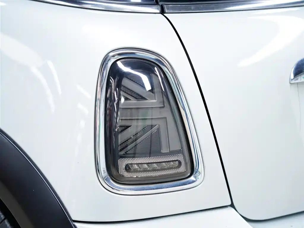 MINI MINI 2010