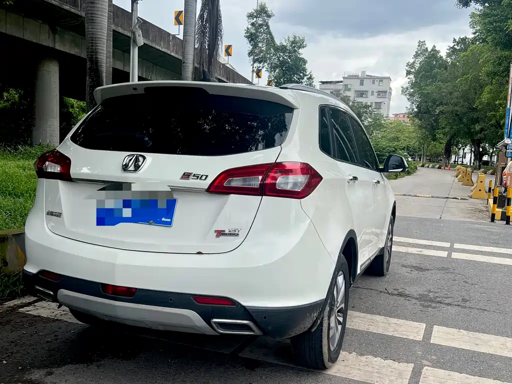 BAW Weiwang S50 2018