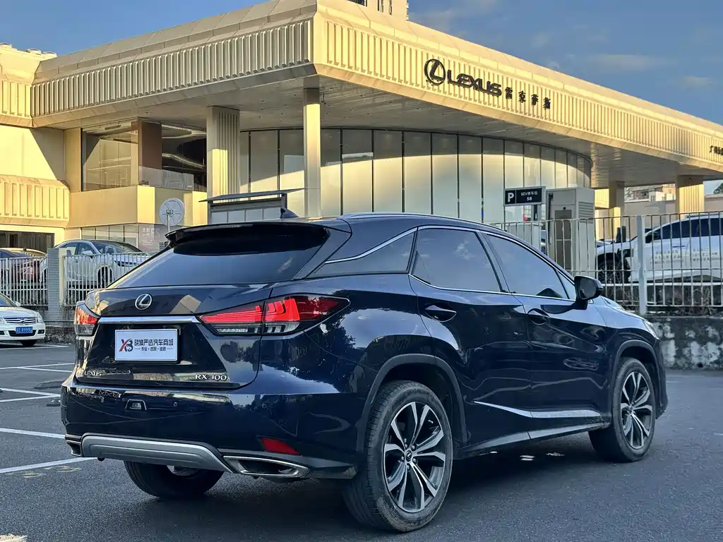Lexus RX 2020 — фото 16