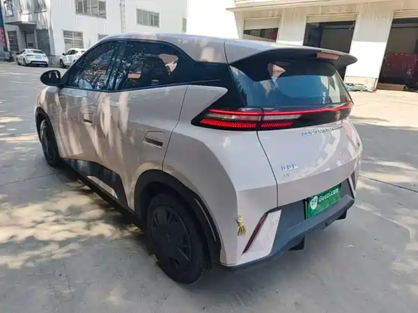 BYD Seagull 2024