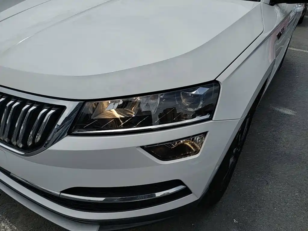 Skoda Korok 2019 — фото 24