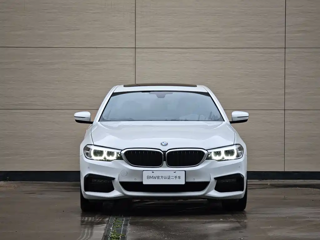 BMW 5 Series 2019 — фото 2