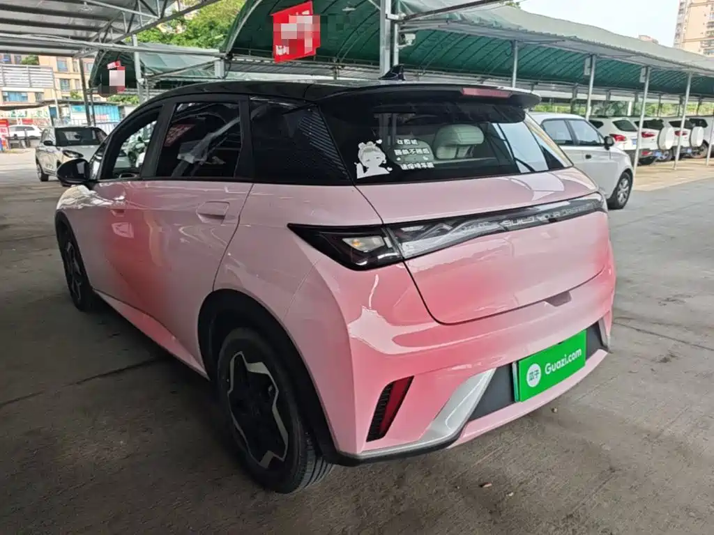 BYD Dolphin 2022