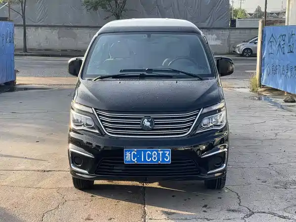 Dongfeng Lingzhi 2022