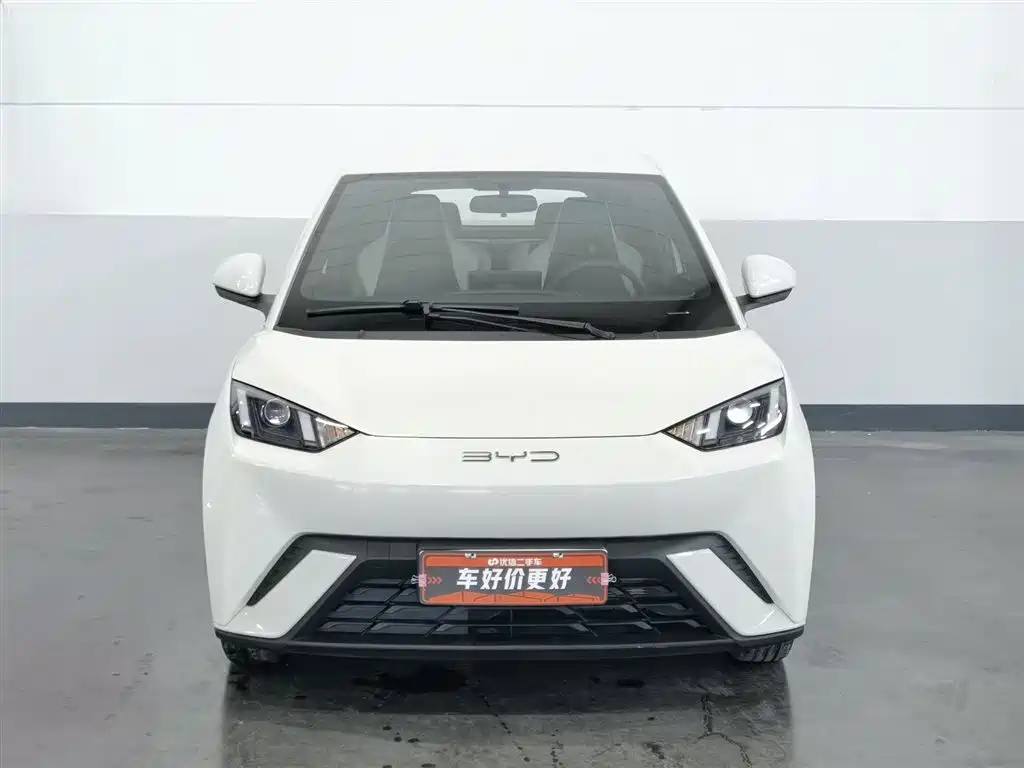 BYD Seagull 2024