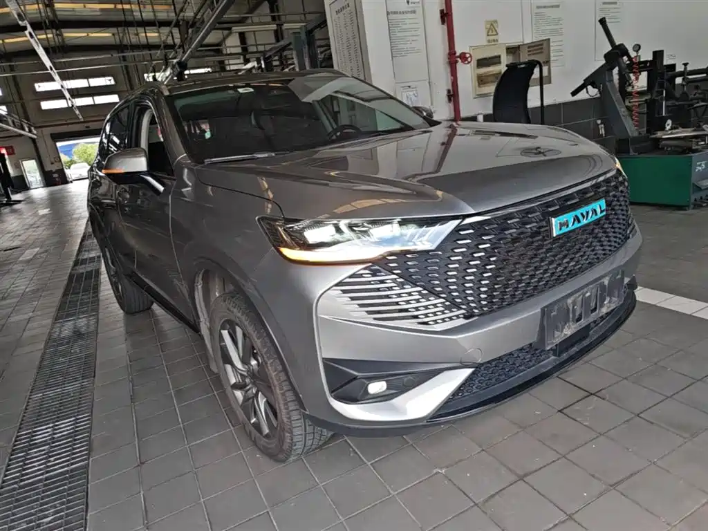 Haval H6 New Energy 2023 — фото 4