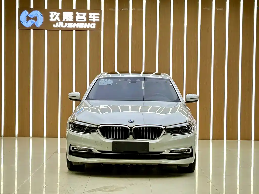 BMW 5 Series New Energy 2018