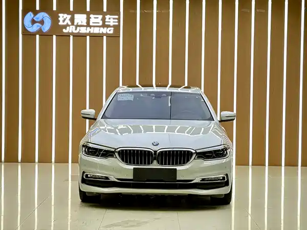 BMW 5 Series New Energy 2018
