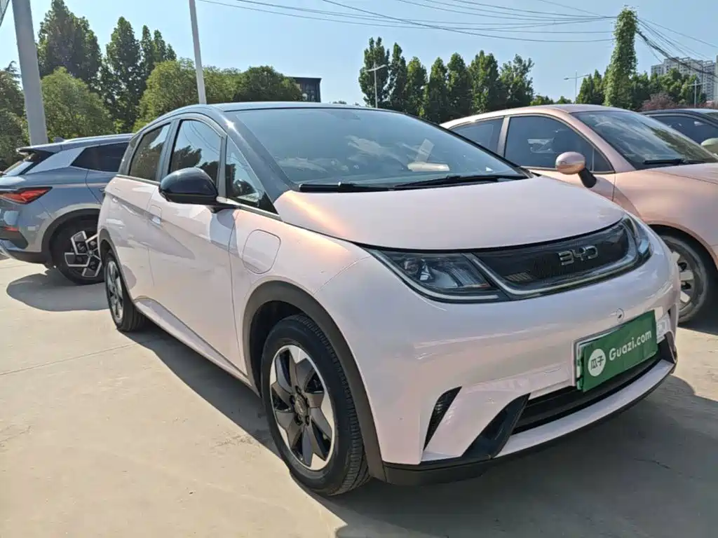 BYD Dolphin 2024