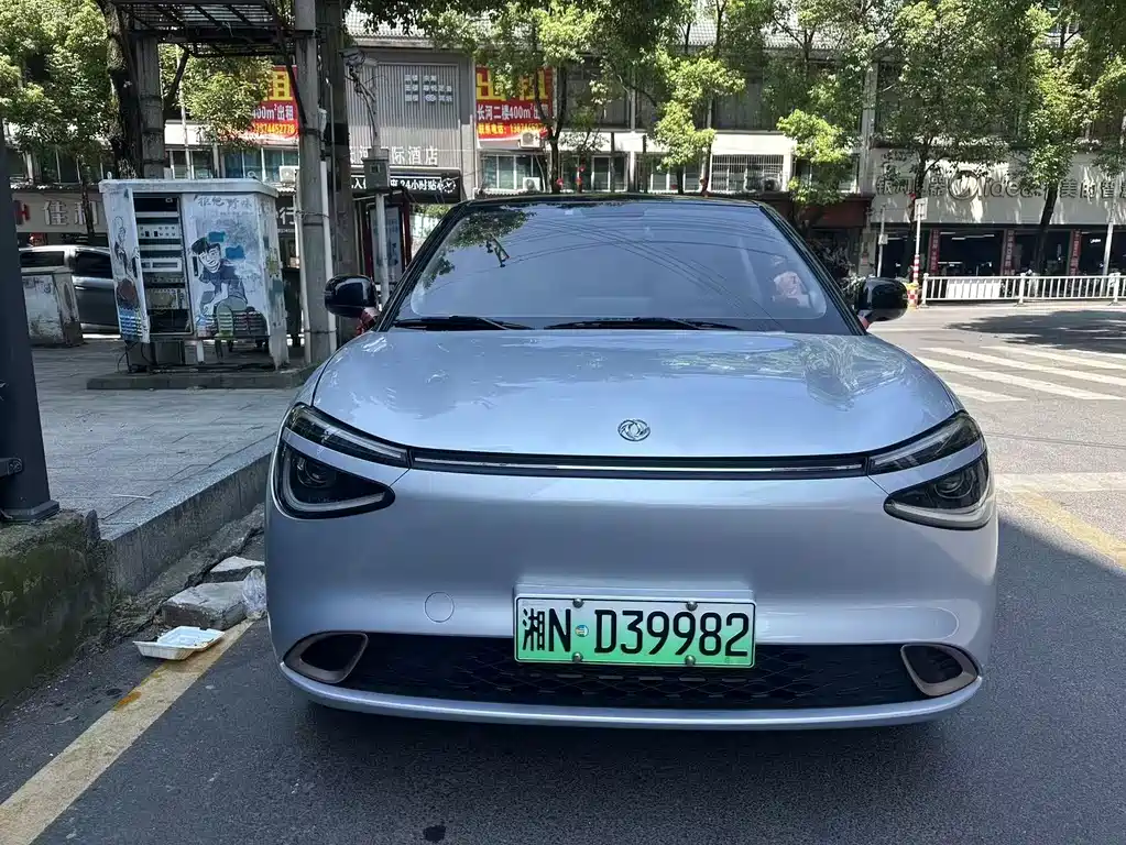 Dongfeng Nano 01 2025