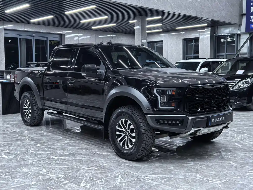 Ford F-150 Raptor 2019 — фото 3