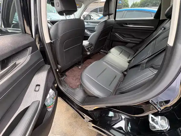 Haval H6 New Energy 2022