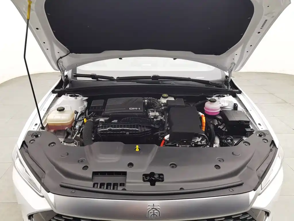 BYD Qin PLUS 2024
