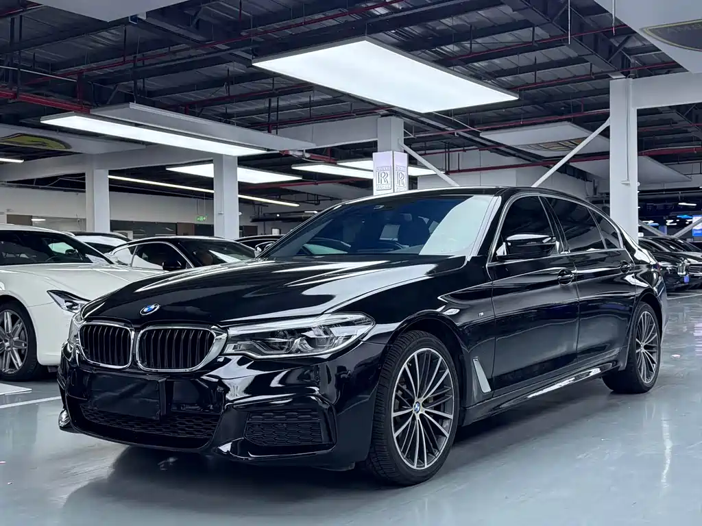 BMW 5 Series 2019