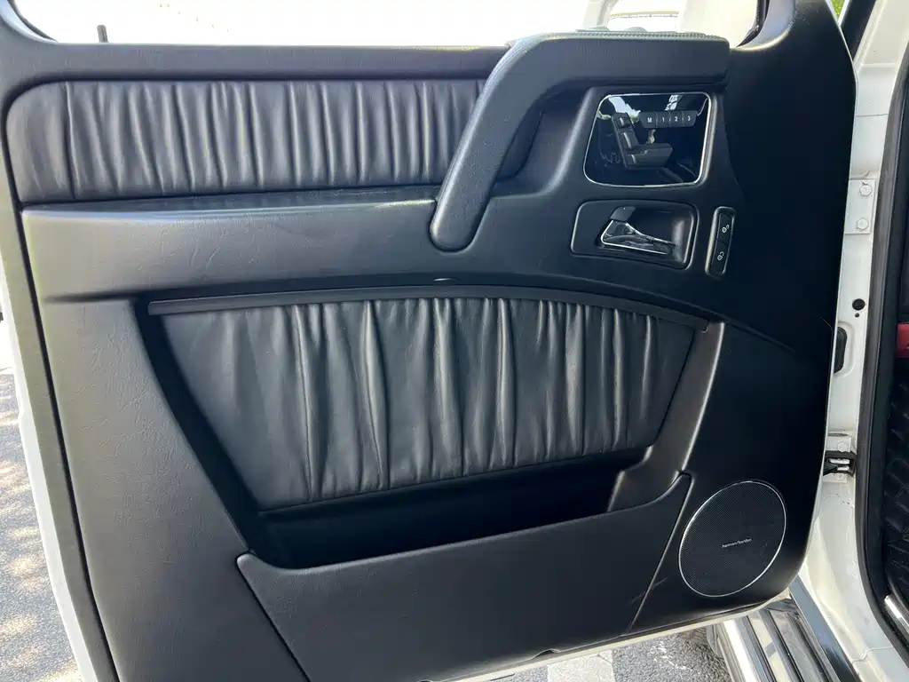 Mercedes-Benz G-Class AMG 2017 — фото 20