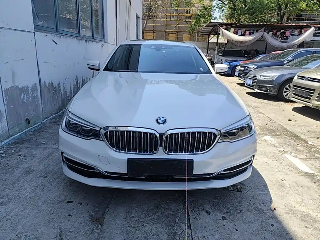 BMW 5 Series New Energy 2020