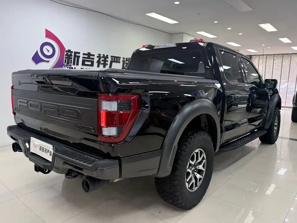 Ford F-150 Raptor 2024 — фото 17