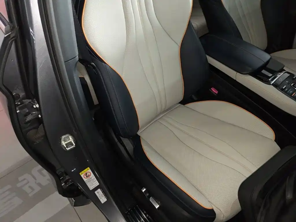 BYD Song PLUS New Energy 2022 — фото 25