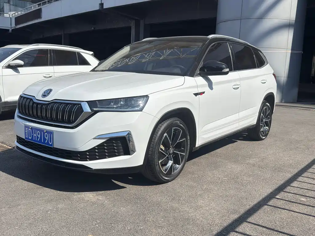 Skoda Kamiq 2024 — фото 1