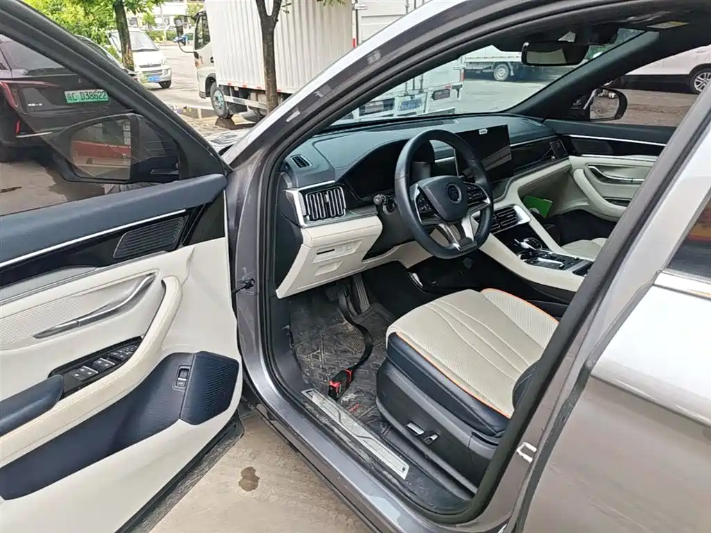 BYD PLUS New Energy 2023 — фото 16
