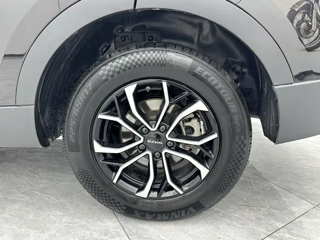 Haval H6 2023 — фото 18