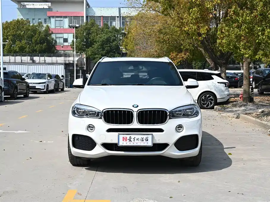 BMW X5 2017 — фото 2