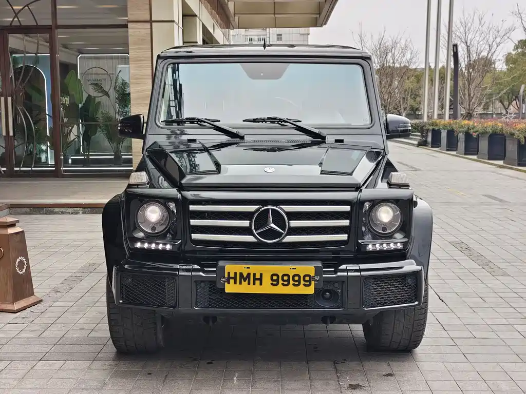 Mercedes-Benz G-Class 2016 — фото 2