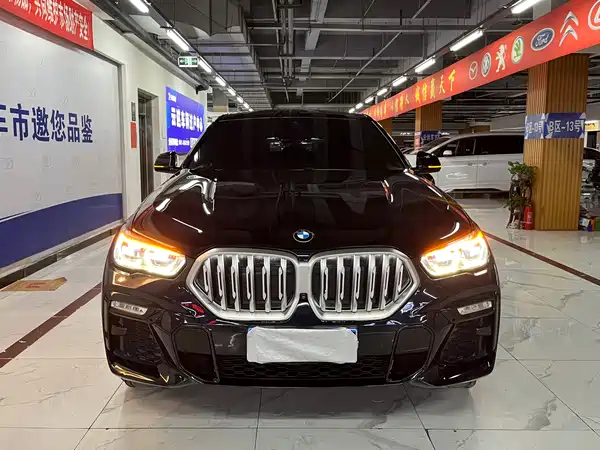 BMW X6 2021