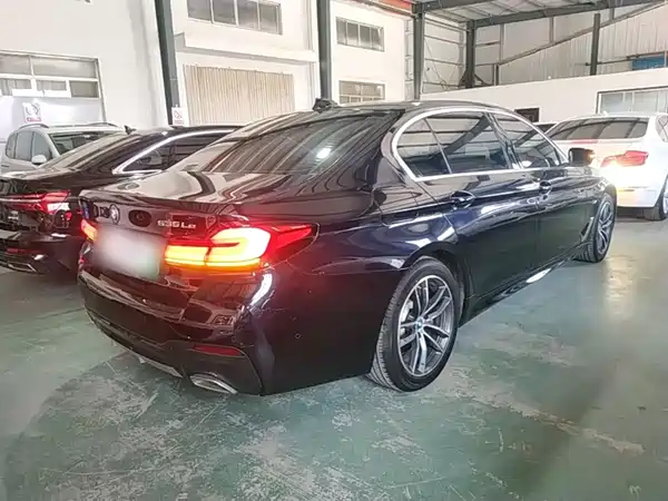 BMW 5 Series New Energy 2022