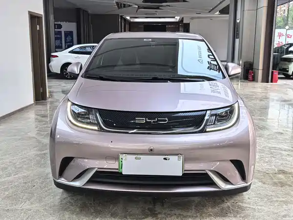 BYD Dolphin 2023