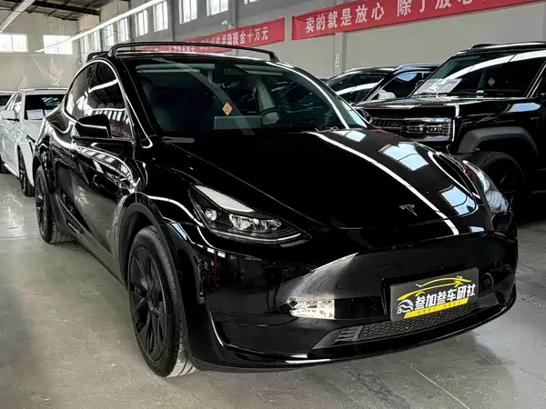 Tesla Model Y 2024