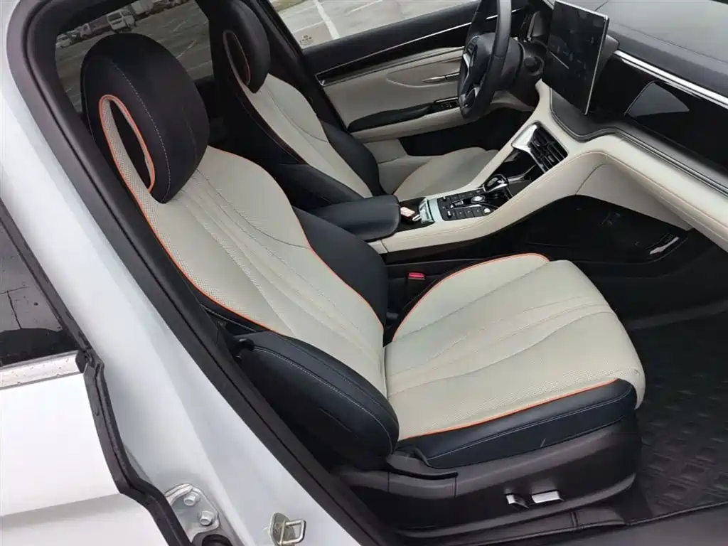 BYD PLUS New Energy 2022 — фото 25