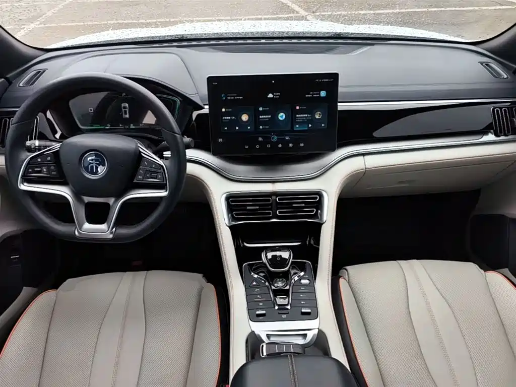 BYD PLUS New Energy 2022 — фото 10
