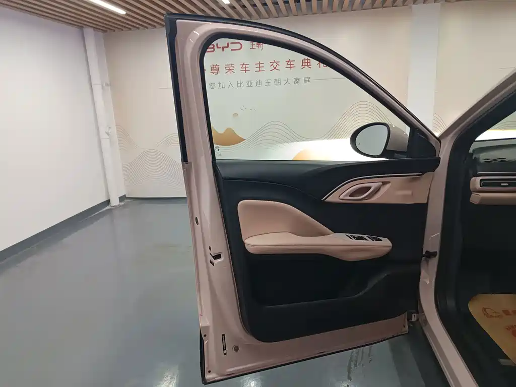 BYD Seagull 2025