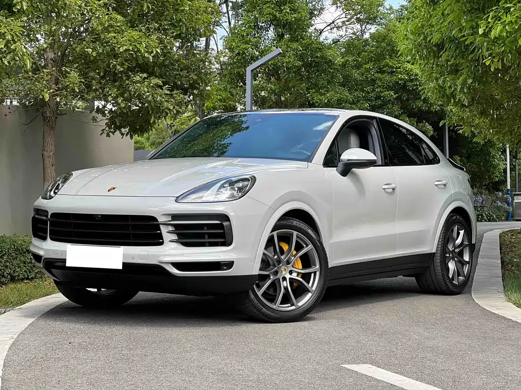 Porsche Cayenne 2022 — фото 1