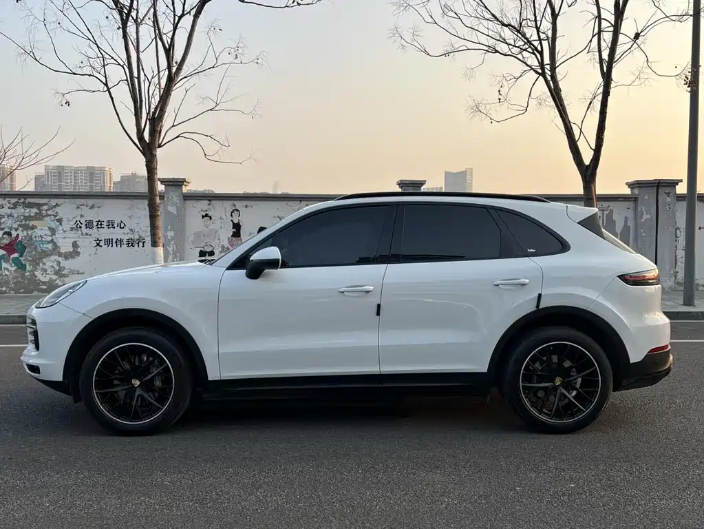 Porsche Cayenne 2019 — фото 11