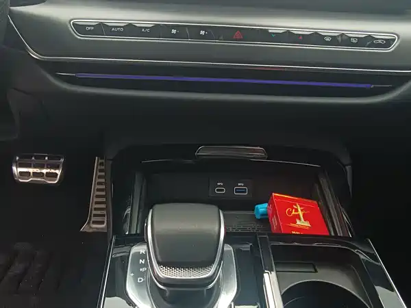 Hongqi H9 2024